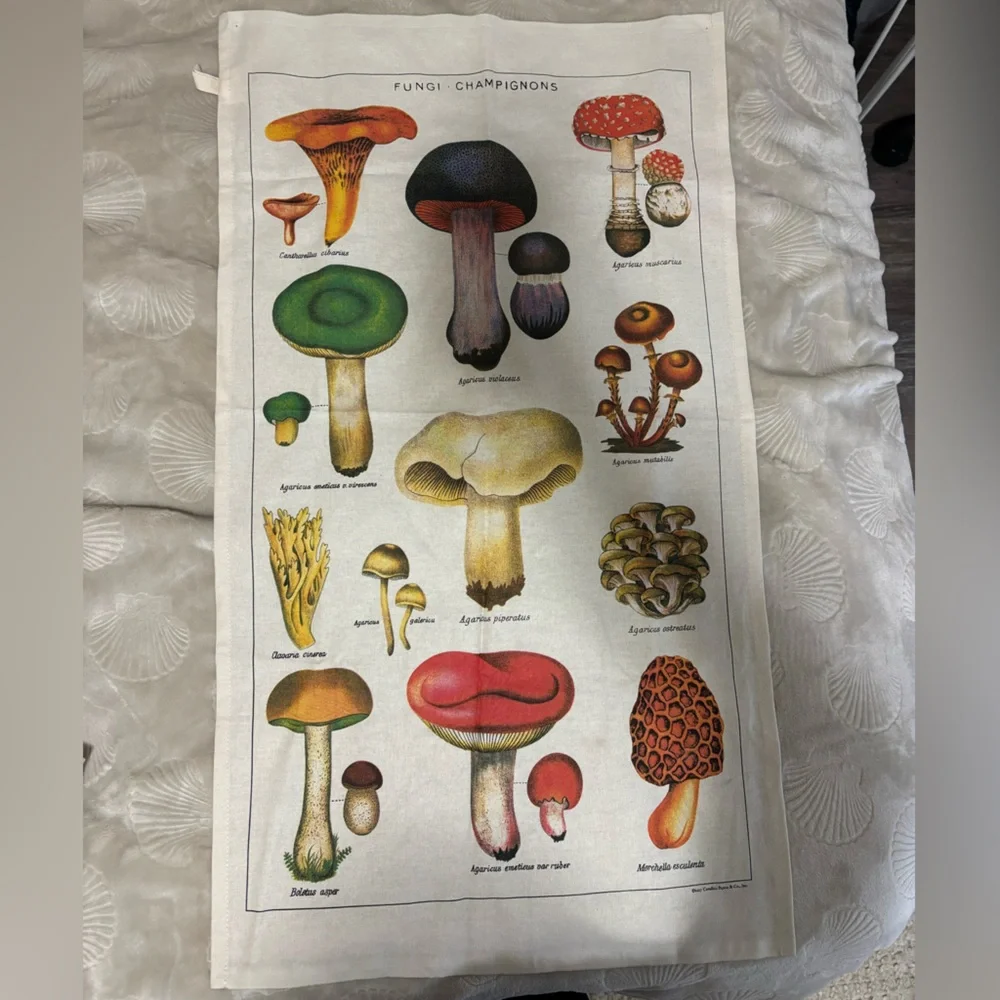 Urban outfitters mushroom tapestry
